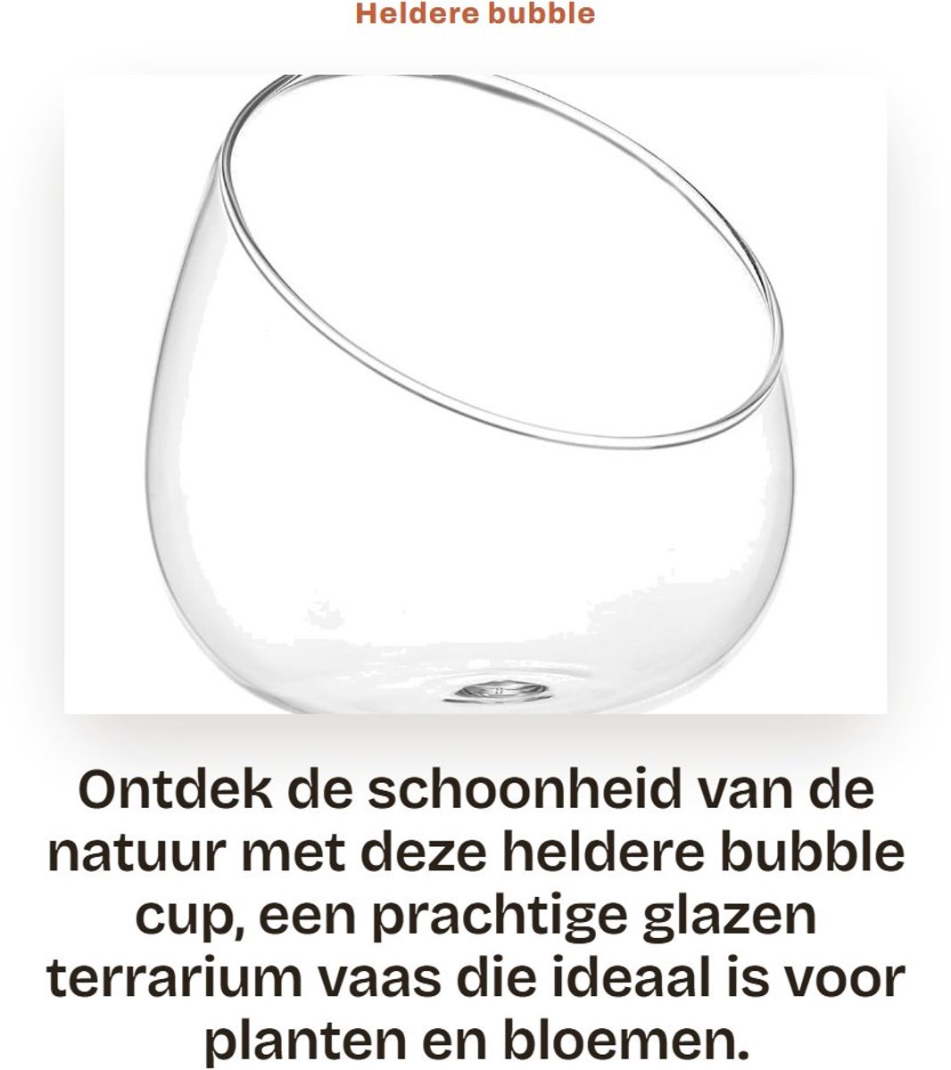 Dailygoods- Bubble Cup - Heldere Glazen Terrarium Vaas - Decoratieve Plant Kom - Ronde Snoepglas - Afschuining voor Betere Kijkhoek - Transparant Glas