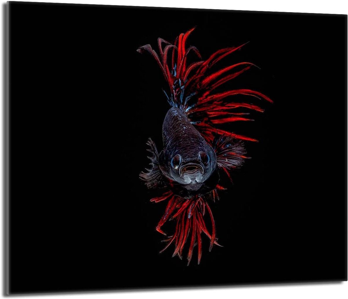 Kookplaat Afdekplaat Glazen Plaat Keuken Beschermen Krasbestendig Gehard Glas 60x52 cm Decoratief