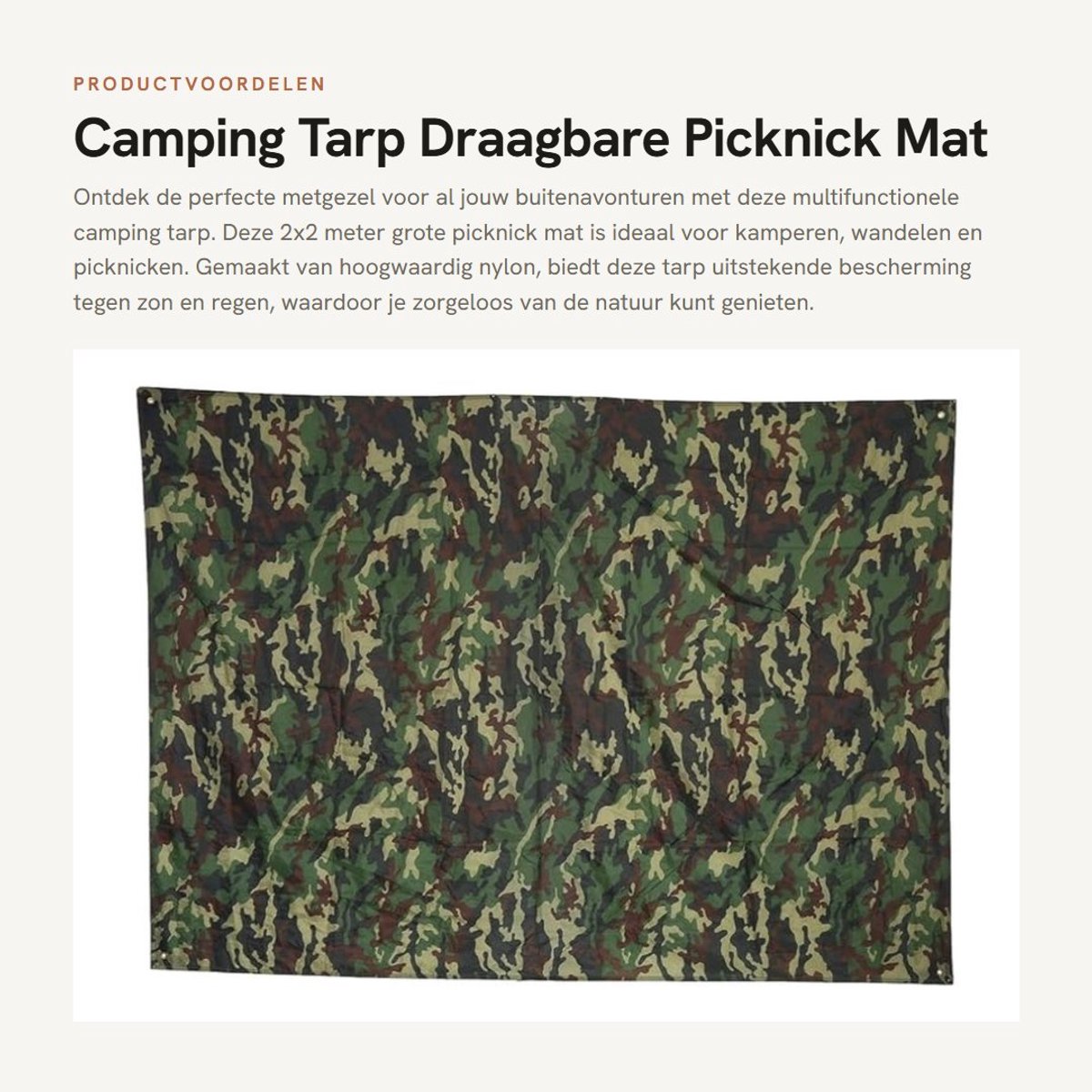 Dailygoods- Picknickmat Waterdicht - Multifunctioneel Tentzeil - Anti-UV Bescherming - Draagtas - Hoogwaardig Nylon - 2 x 2m