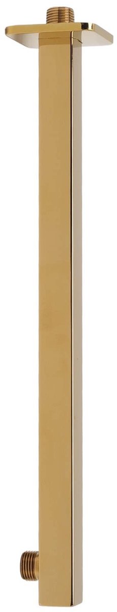 Dailygoods- Douchearm Wandgemonteerd - Douchekop Verlengstuk - Roestvrij Staal - Geen Lekkage - Eenvoudige Installatie - Gouden Afwerking