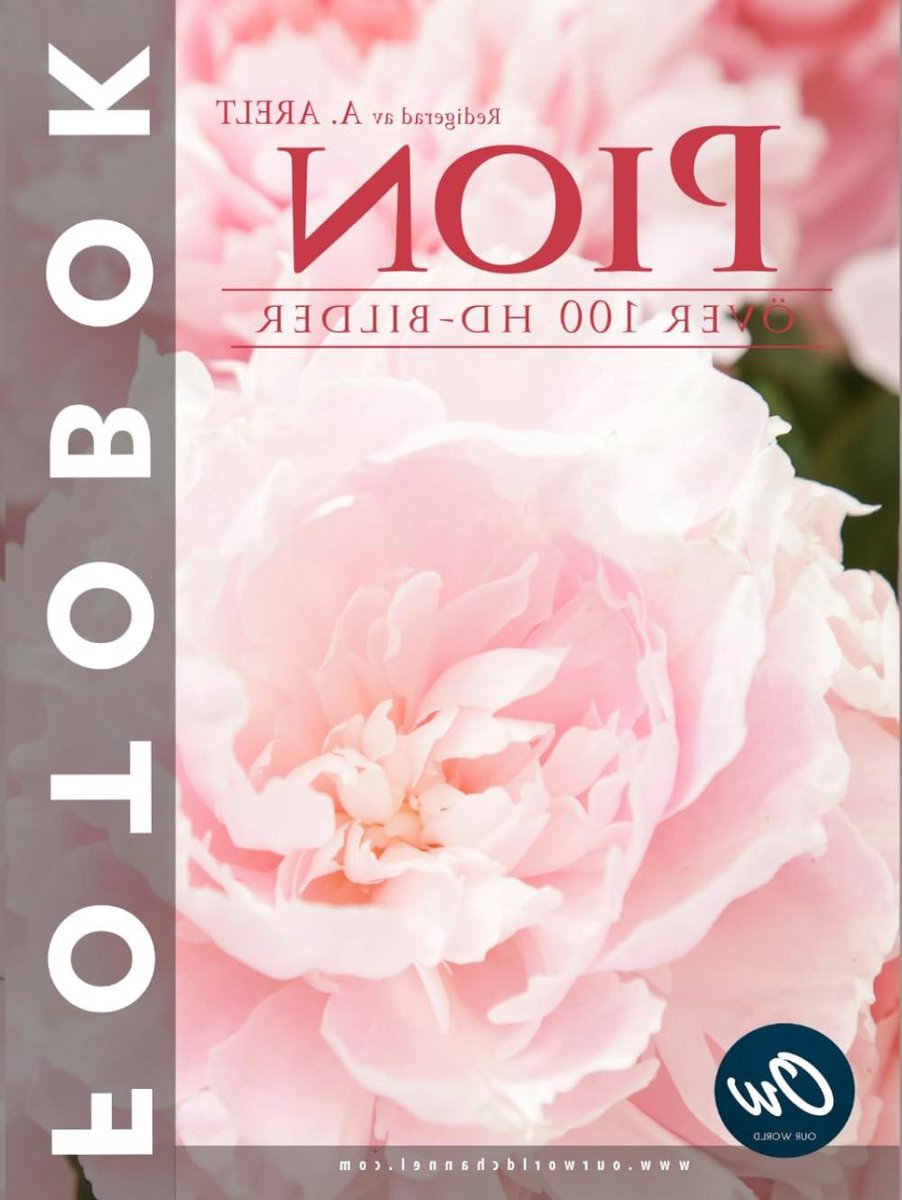 Pion Fotobok - Bloemenboek Pion - Visuele Inspiratie - Tekstloos - 21 x 28 cm - Roze Wit