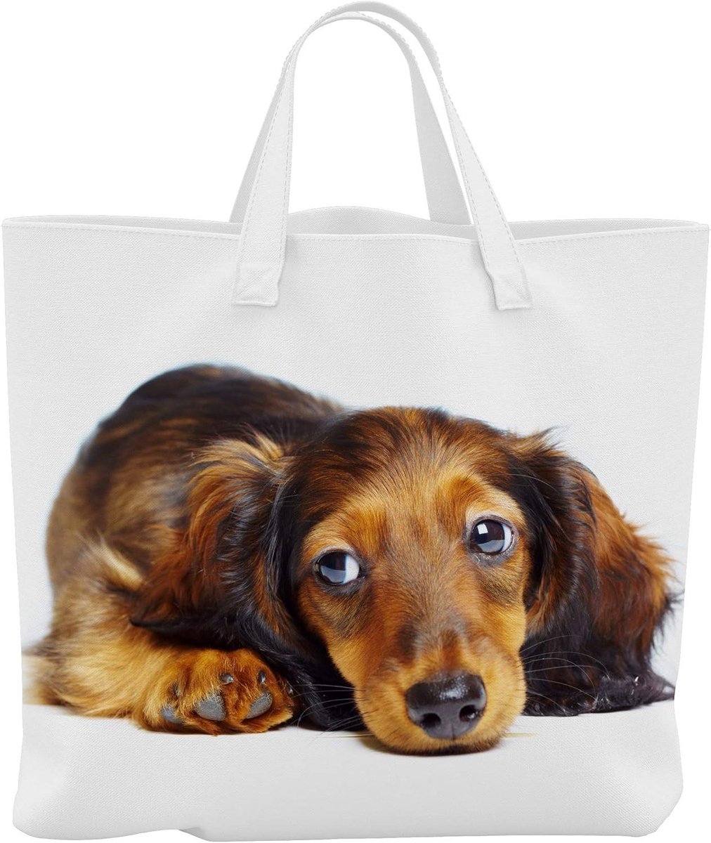 Boodschappentas - Draagtas - Boodschappen doen - Regenbestendig - 45 x 42 cm - Motief