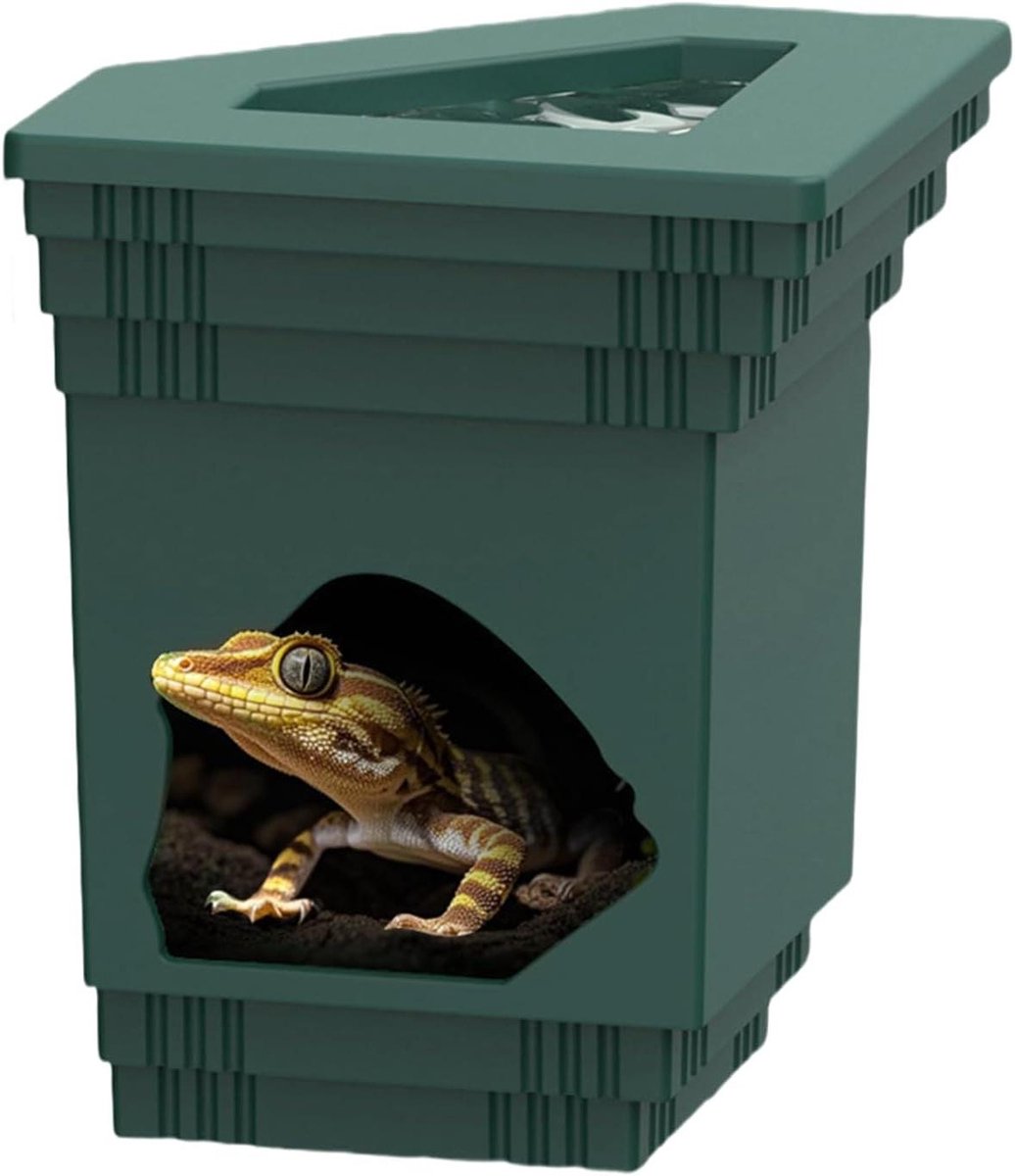 Reptiel Voederbakje - Waterschaal Terrarium - Natuurlijke Habitat - Gecombineerde Functie - Niet gespecificeerd - Groen