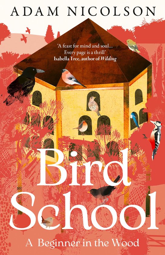 Bird School - cover