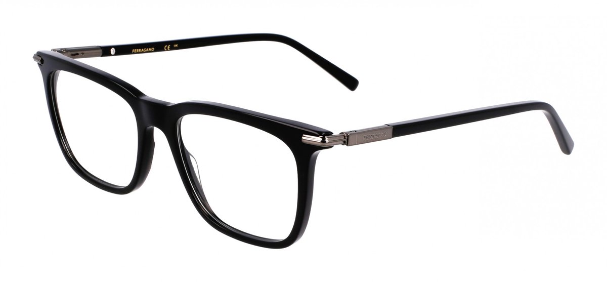 Ferragamo SF3007 Black 53/17/145 MAN Brilmonturen