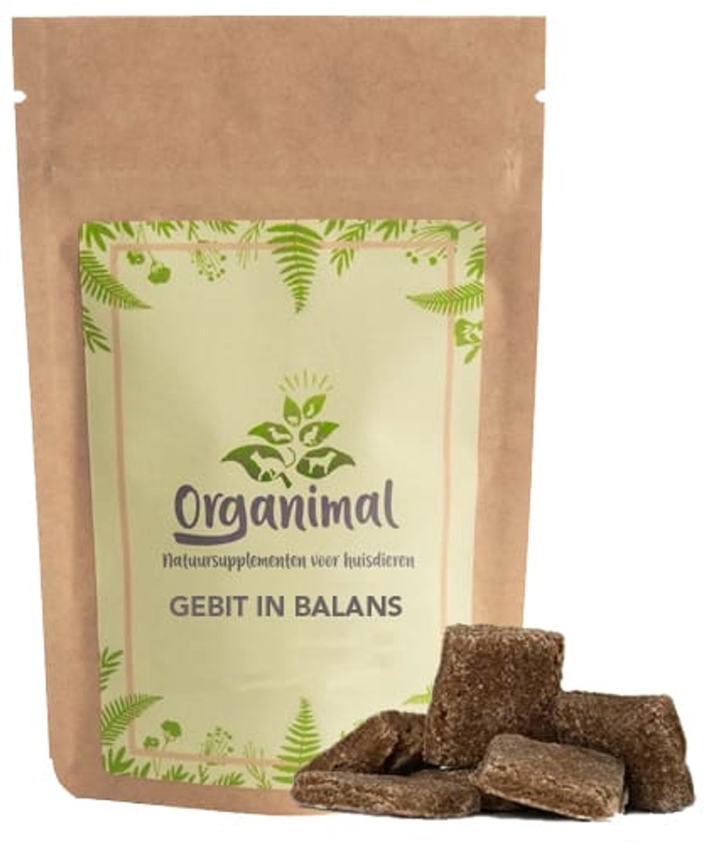 Organimal Gebit in Balans - Honden