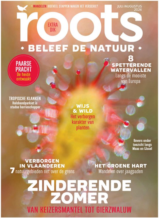 Roots juli/augustus 2026: Paarse pracht, spetterende watervallen, verborgen in Vlaanderen en zinderende zomer.
