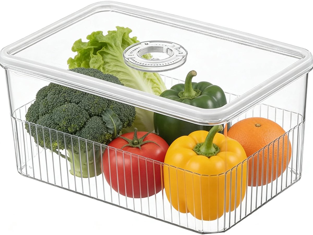 Dailygoods - Innovra - Dailygoods - Dailygoody - Voedselvoorraadcontainers - Koelkastorganisator - Transparant - 24,5 x 16,2 x 11,5 cm - Plastic opbergdoos - Geschikt voor groenten en fr...