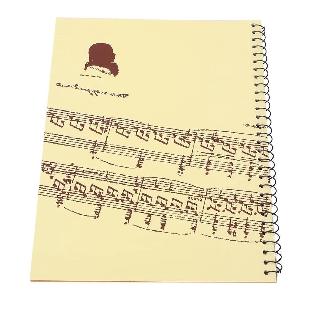 Allecto - Manuscriptpapier - Notitieboek voor Muzikanten - Hoogwaardige Schrijfervaring - Gele Muziekpartituur - 50 Bladen - Geschikt voor Amateurs