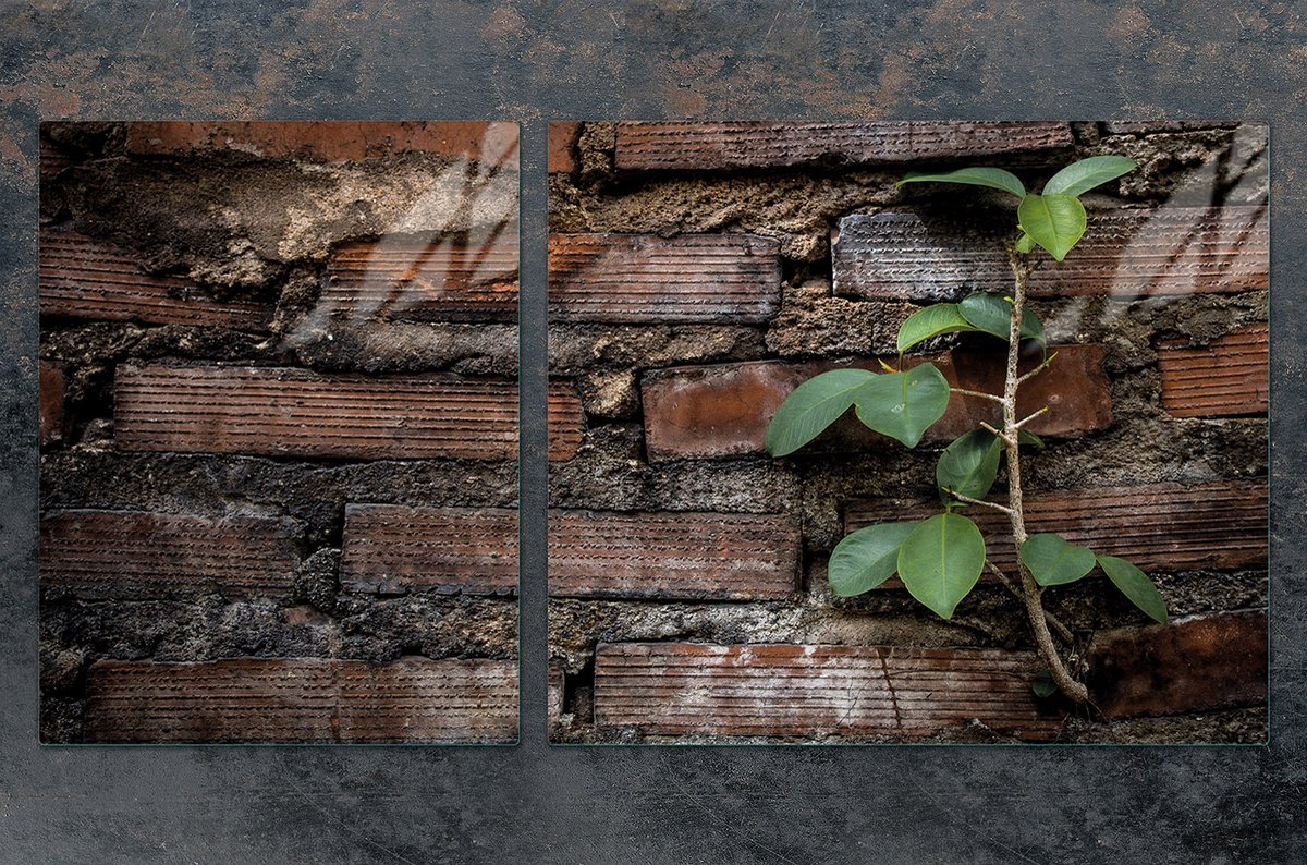 TMK ArtDeko Serie - Snijplank en Beschermplaat - 100x52 cm - Ceglast
