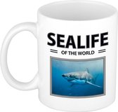 Haai mok met dieren foto sealife of the world