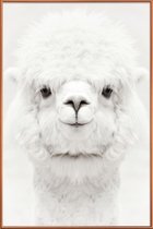 JUNIQE - Poster met kunststof lijst Smiling Alpaca -30x45 /Wit