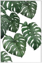 JUNIQE - Poster in kunststof lijst Monstera plant -40x60 /Groen & Wit