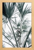 JUNIQE - Poster in houten lijst Beach Palm Fruits -30x45 /Grijs &