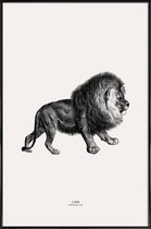 JUNIQE - Poster in kunststof lijst Lion -30x45 /Grijs & Ivoor
