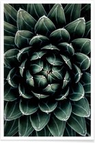 JUNIQE - Poster Cactus hart -20x30 /Groen