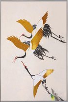 JUNIQE - Poster met kunststof lijst Swooping Cranes gouden -30x45