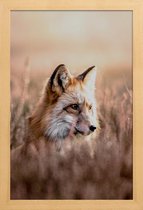 JUNIQE - Poster met houten lijst Fox in Reeds -60x90 /Bruin & Oranje