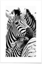 JUNIQE - Poster Zebras -30x45 /Wit & Zwart