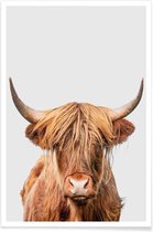 JUNIQE - Poster Highland Cow -60x90 /Bruin