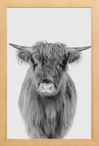 JUNIQE - Poster in houten lijst Young Highland Cow Classic -40x60 /Wit