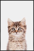 JUNIQE - Poster in kunststof lijst Kitten II -20x30 /Bruin & Grijs