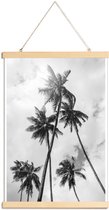 JUNIQE - Posterhanger Palme Bounty -40x60 /Grijs & Wit