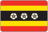 Vlag Ruinen - 150 x 225 cm - Polyester