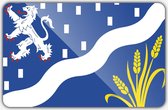 Vlag gemeente Haarlemmermeer - 200 x 300 cm - Polyester