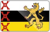 Vlag gemeente Someren - 70 x 100 cm - Polyester