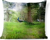 Buitenkussens - Tuin - Pauw in gedimd zonlicht - 60x60 cm