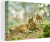 Canvas Schilderij Moeder lynx en haar jong in het Nationaal Park Bayerischer Wald - 140x90 cm - Wanddecoratie