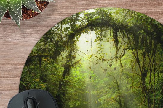 Muismat Diep in de jungle - Zonnestralen glippen door het tropische bladerdak Muismat rond - 30x30 cm - Muismat met foto