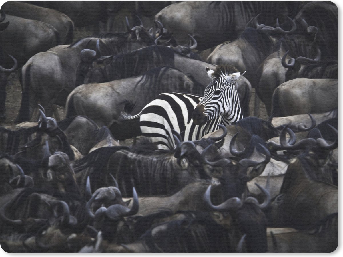 Muismat Vrije Dieren - Verdwaalde zebra muismat rubber - 23x19 cm - Muismat met foto