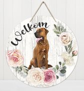 Welkom - Tosa | Muurdecoratie - Bordje Hond