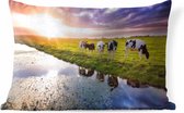 Buitenkussens - Tuin - Koeien tijdens een zonsondergang - 60x40 cm