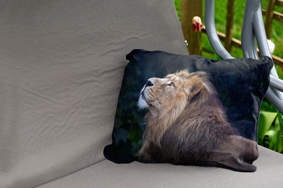 Coussins d'extérieur - Jardin - Lion levant la tête sur fond noir - 60x40 cm