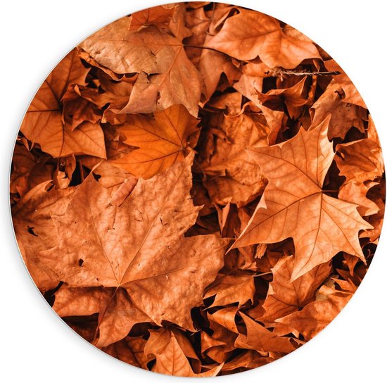 Forex Wandcirkel - Herfstbladeren op de Grond - 90x90cm Foto op Wandcirkel (met ophangsysteem)