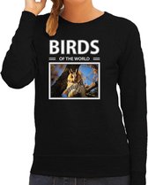 Dieren foto sweater Ransuil - zwart - dames - birds of the world - cadeau trui uilen liefhebber XL