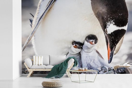 Verzorger Onvermijdelijk Minnaar Behang - Fotobehang Een pinguïn beschermt zijn jongen - Breedte 450 cm x  hoogte 300 cm | bol.com