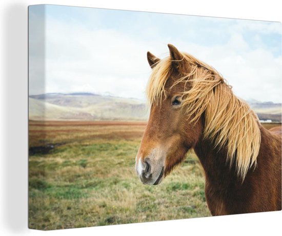 Canvas Schilderij Paard - Natuur - IJsland - 90x60 cm - Wanddecoratie