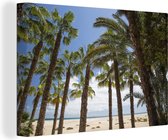 Canvas Schilderij Een groepje palmbomen grenzen aan het strand van Fuerteventura - 120x80 cm - Wanddecoratie