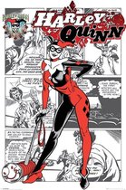Harley Quinn - Maxi Poster