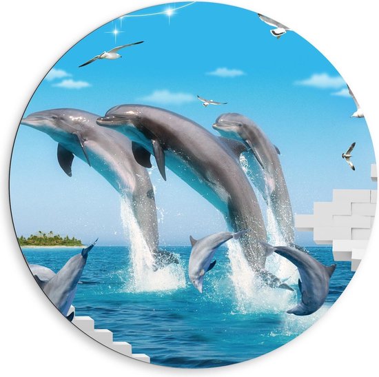 Dibond Wandcirkel - Springende Dolfijnen tussen Meeuwen - 80x80cm Foto op Aluminium Wandcirkel (met ophangsysteem)
