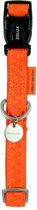 Macleather halsband oranje (25 MMX45-70 CM)
