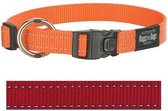 Rogz for dogs fanbelt halsband rood - 20 mmx34-56 cm - 1 stuks