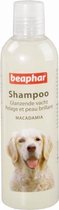 Beaphar shampoo hond glanzende vacht - 250 ml - 1 stuks