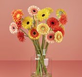 Bloom Makery - Zonnige Favoriet - Bloemen - Boeket - 24 Gerbera's