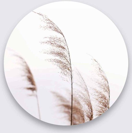 Schilderij - plant - Collectie Art of nature - Pure Metal - 50x50cm