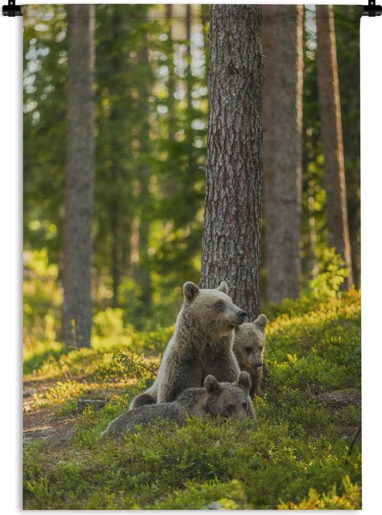Tapisserie Prédateurs - Ours bruns dans la forêt Tapisserie coton 90x135 cm - Tapisserie avec photo